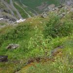DSC02264.jpg