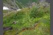 DSC02264.jpg