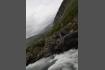 DSC02317.jpg