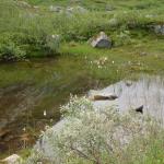 DSC02323.jpg