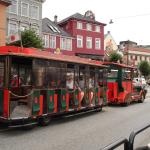 DSC02509.jpg