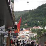DSC02486.jpg