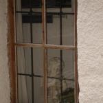 DSC02536.jpg