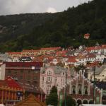 DSC02499.jpg