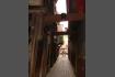 DSC02525.jpg