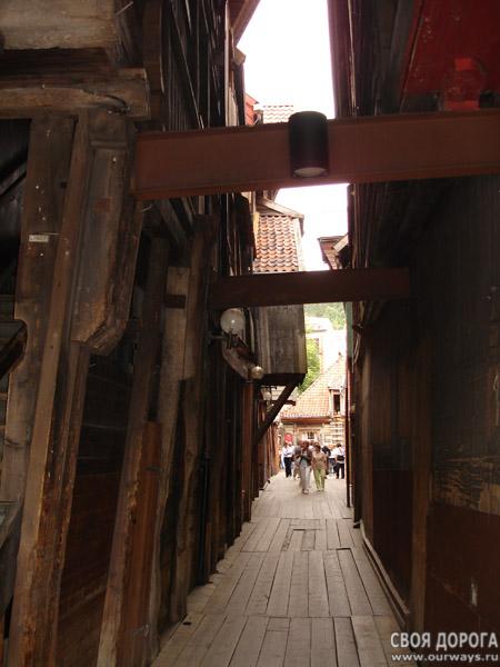 DSC02525.jpg