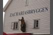 DSC02501.jpg