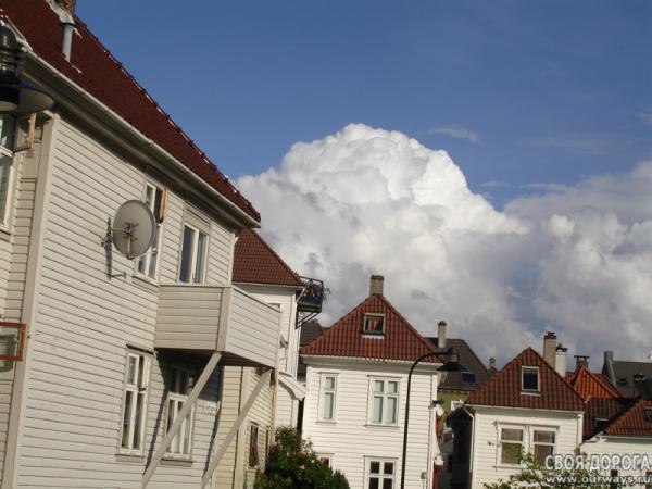 DSC02562.jpg