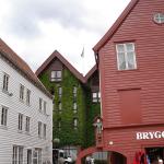 DSC02511.jpg