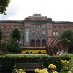DSC02482.jpg