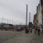 DSC02524.jpg