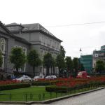 DSC02485.jpg