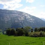 DSC02387.jpg