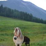 DSC02346.jpg