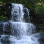 DSC02357.jpg