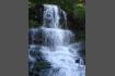 DSC02357.jpg