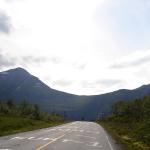 DSC02190.jpg