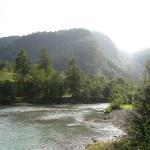 DSC02136.jpg