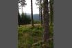 DSC02415.jpg