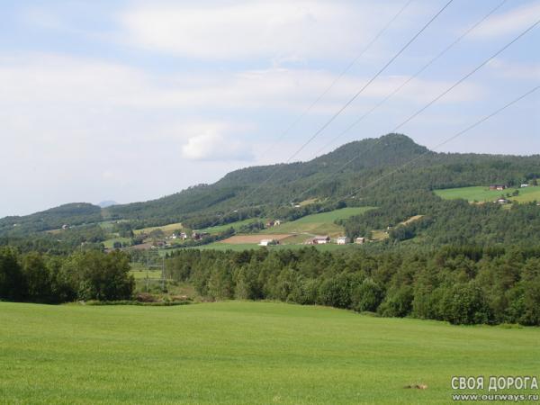 DSC02167.jpg