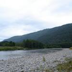 DSC02110.jpg