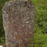 DSC02432.jpg