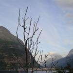 DSC02149.jpg