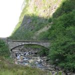 DSC02444.jpg