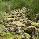 DSC02423.jpg