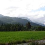 DSC02141.jpg