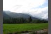 DSC02141.jpg
