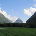 DSC02394.jpg
