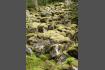DSC02422.jpg
