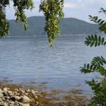 DSC02163.jpg