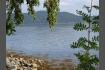 DSC02163.jpg