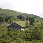 DSC02370.jpg
