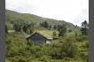 DSC02370.jpg