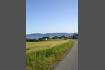DSC02077.jpg
