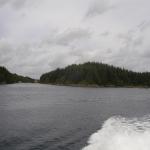 DSC02470.jpg