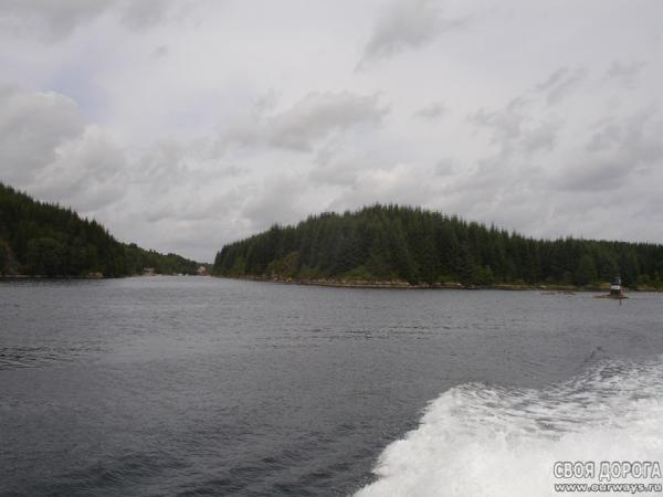 DSC02470.jpg