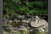 DSC02445.jpg
