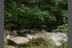 DSC02446.jpg