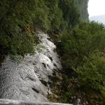 DSC02436.jpg