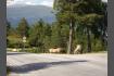 DSC02367.jpg
