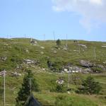 DSC02373.jpg