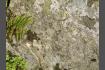 DSC02443.jpg