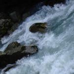 DSC02403.jpg