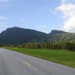 DSC02140.jpg