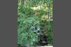 DSC02182.jpg