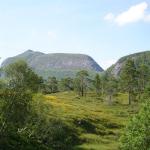 DSC02188.jpg